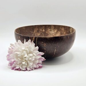 NATURAL COCONUT SHELL BOWLS
