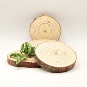 NATURAL PINE WOOD COASTER - 5 pieces