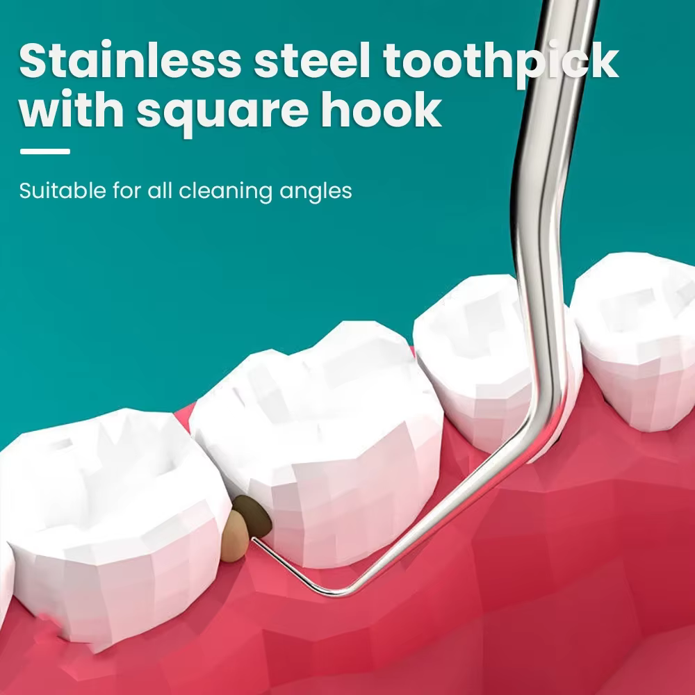STAINLESS STEEL TOOTHPICK SET - Image 5
