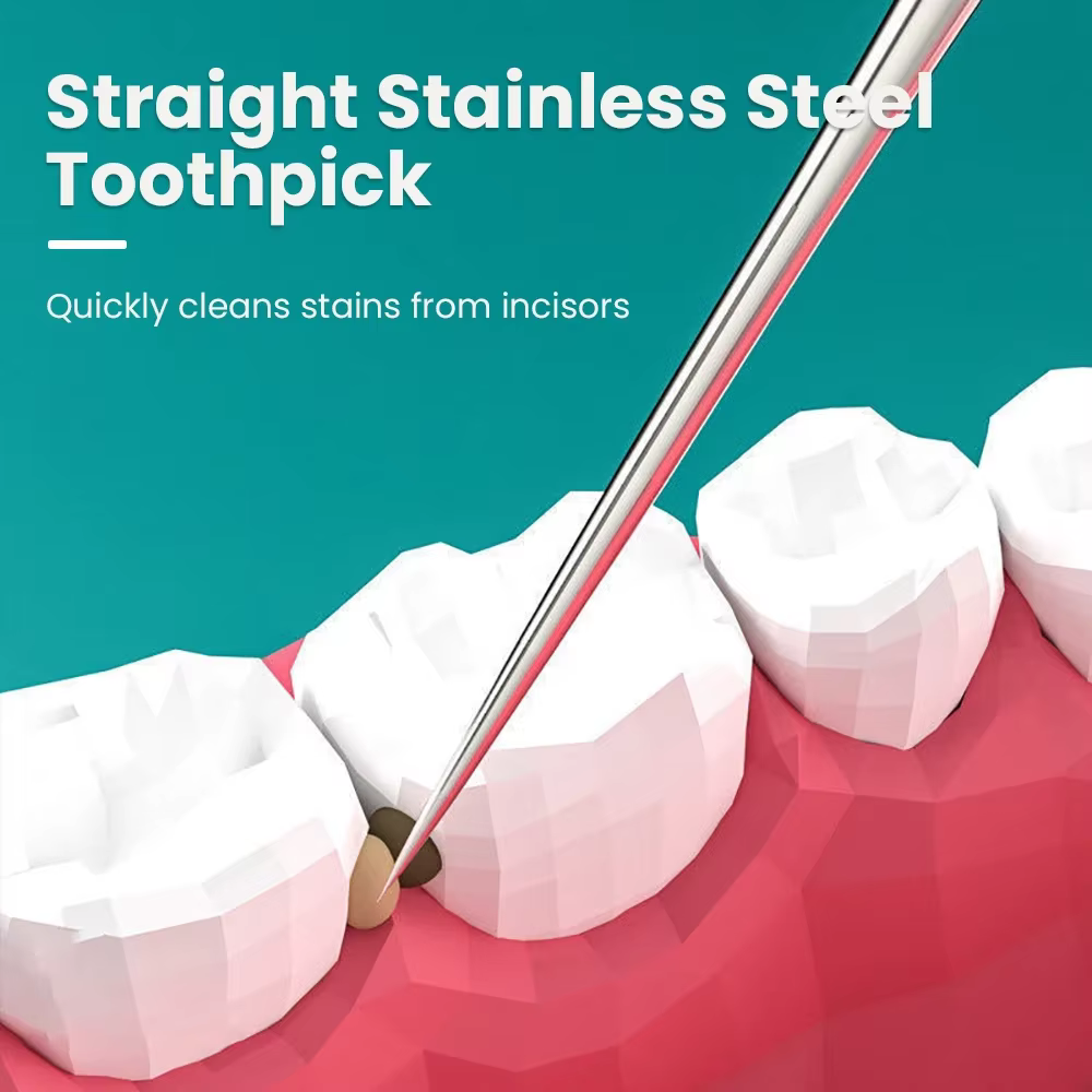 STAINLESS STEEL TOOTHPICK SET - Image 4