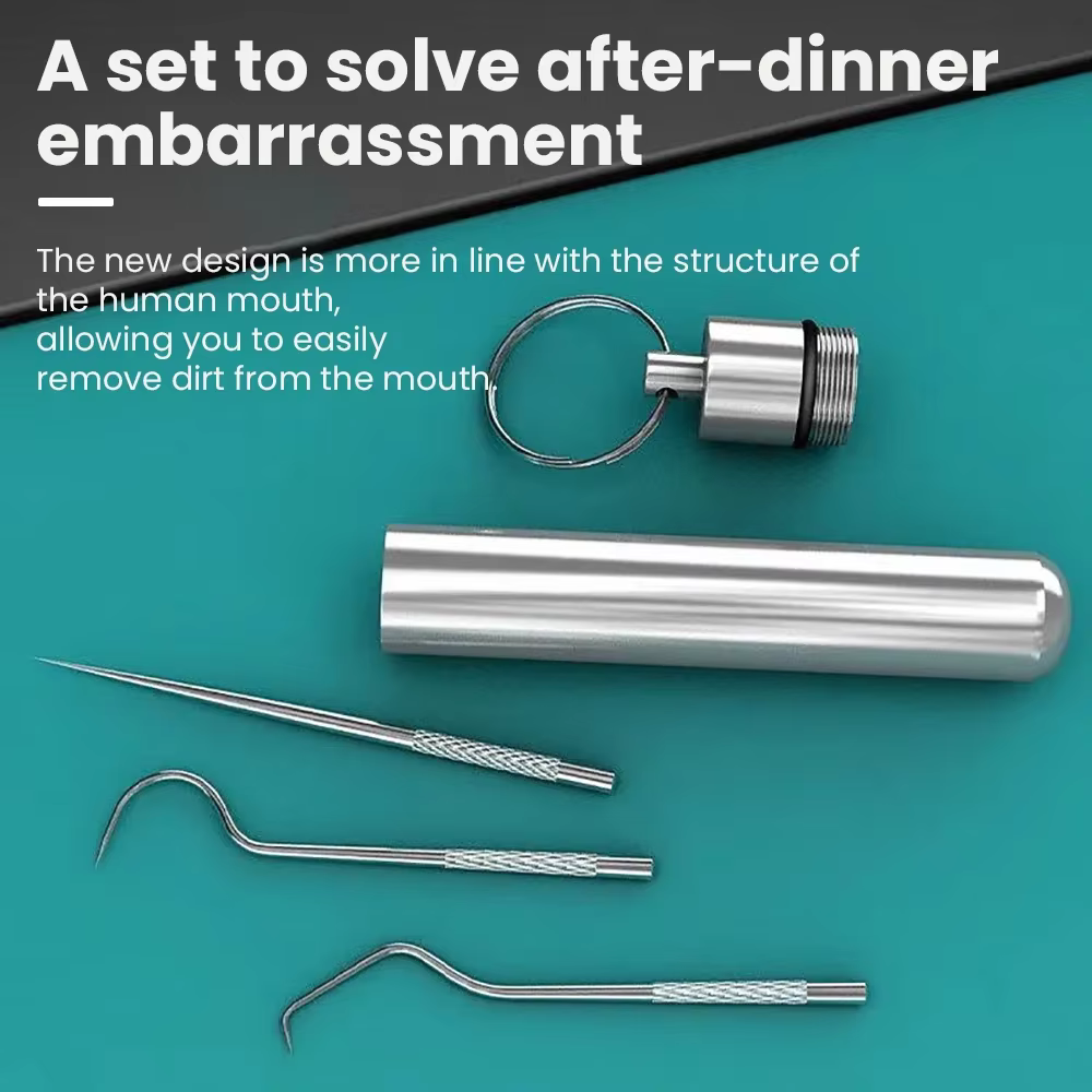 STAINLESS STEEL TOOTHPICK SET - Image 2